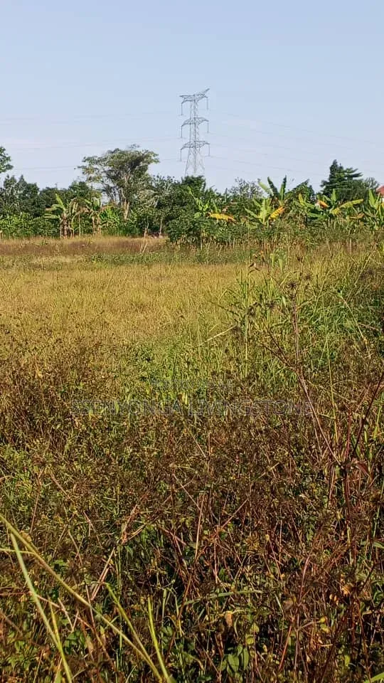 Plots For Sale On Mityana Road
