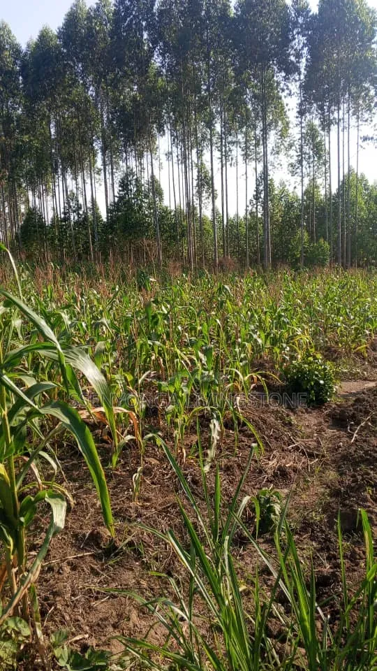 Plots For Sale On Mityana Road