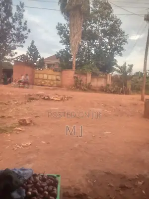 Commercial House