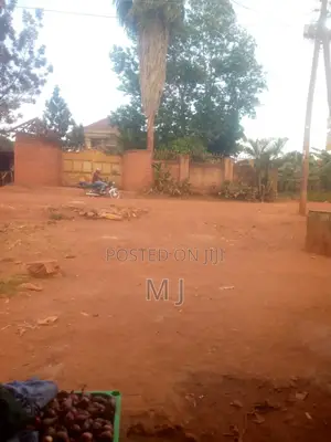 Commercial House