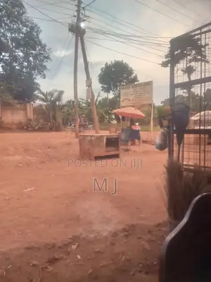 Commercial House
