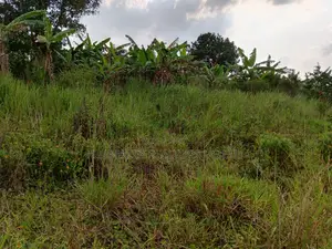 Wakiso Gobero Muguluka Estate – Plots for Sale