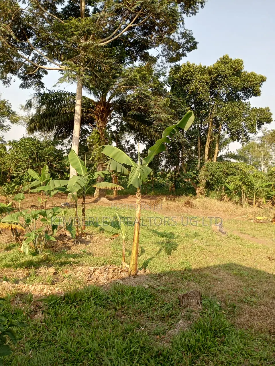 Wakiso Mwera Town Estate – Plots for Sale