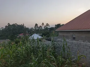 Plot of Land for Sale in Wakiso Bakka Road Kaliiti Mukitooke