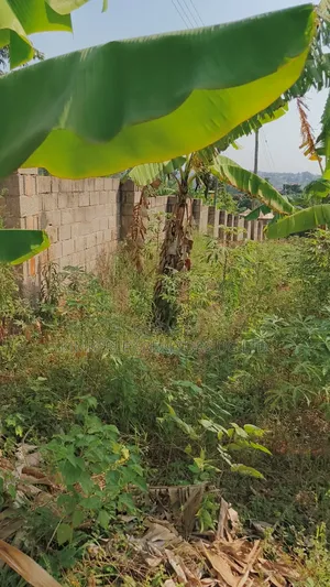 Lakeview Bwerenga Entebbe Road 1⁄2 Acre for Sale