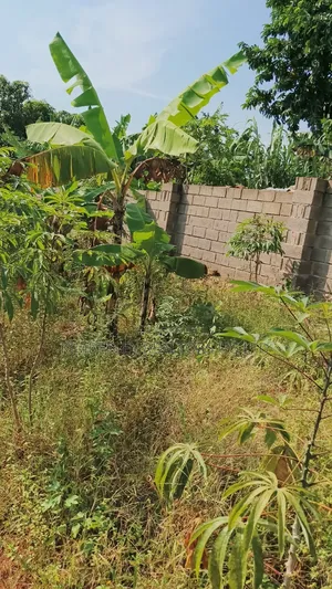 Lakeview Bwerenga Entebbe Road 1⁄2 Acre for Sale