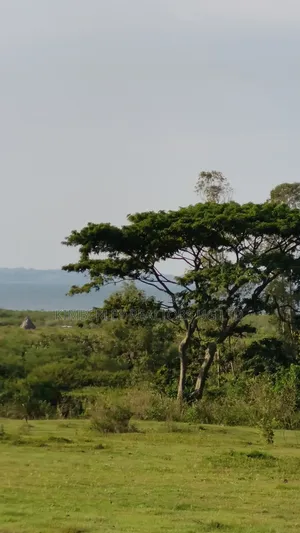 Entebbe Road – Bwerenga 1⁄4 Acre (Lake View) for Sale