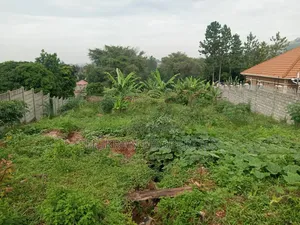 Lake View Prime Plot for Sale