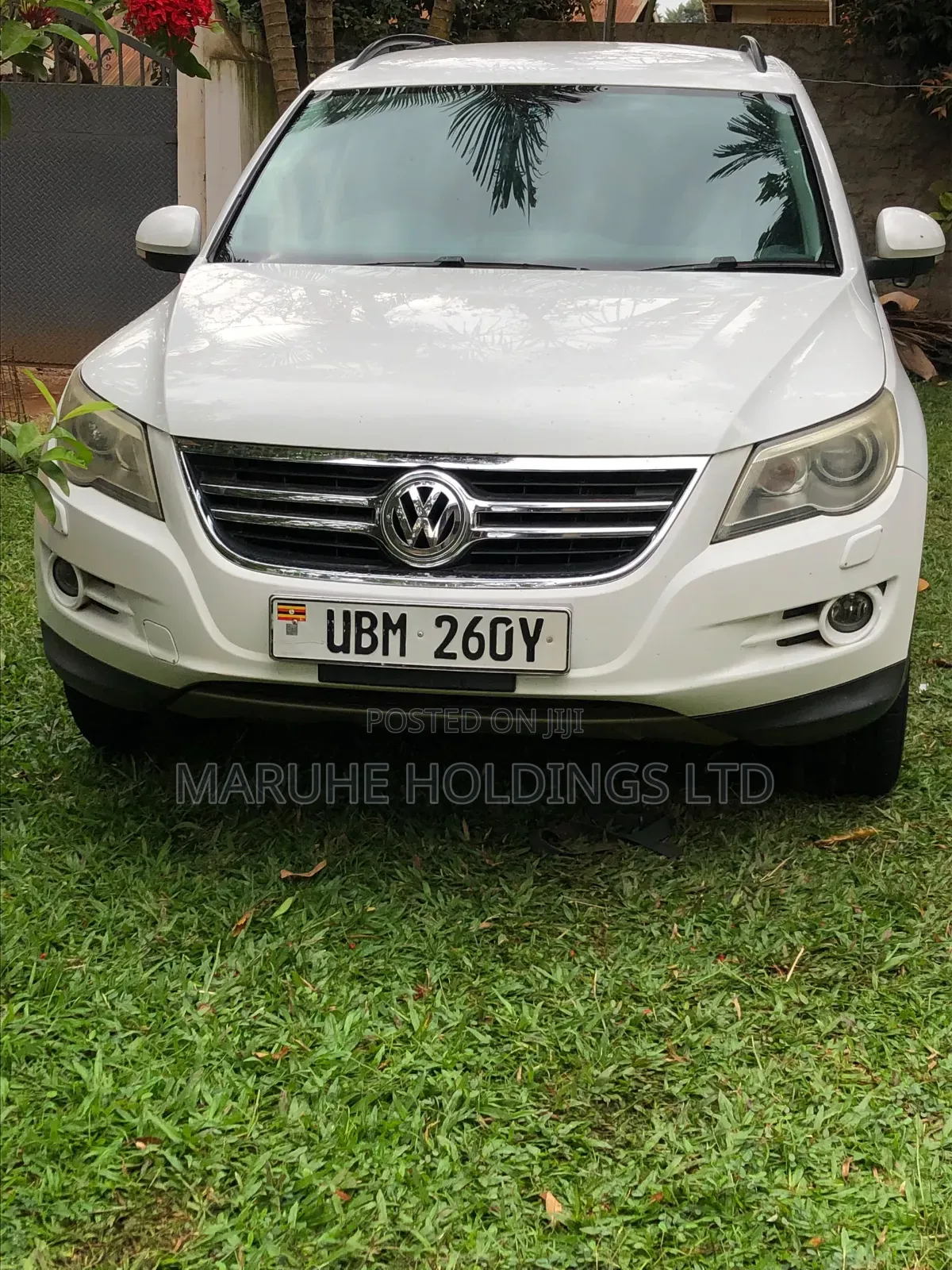 Volkswagen Tiguan 2009 White
