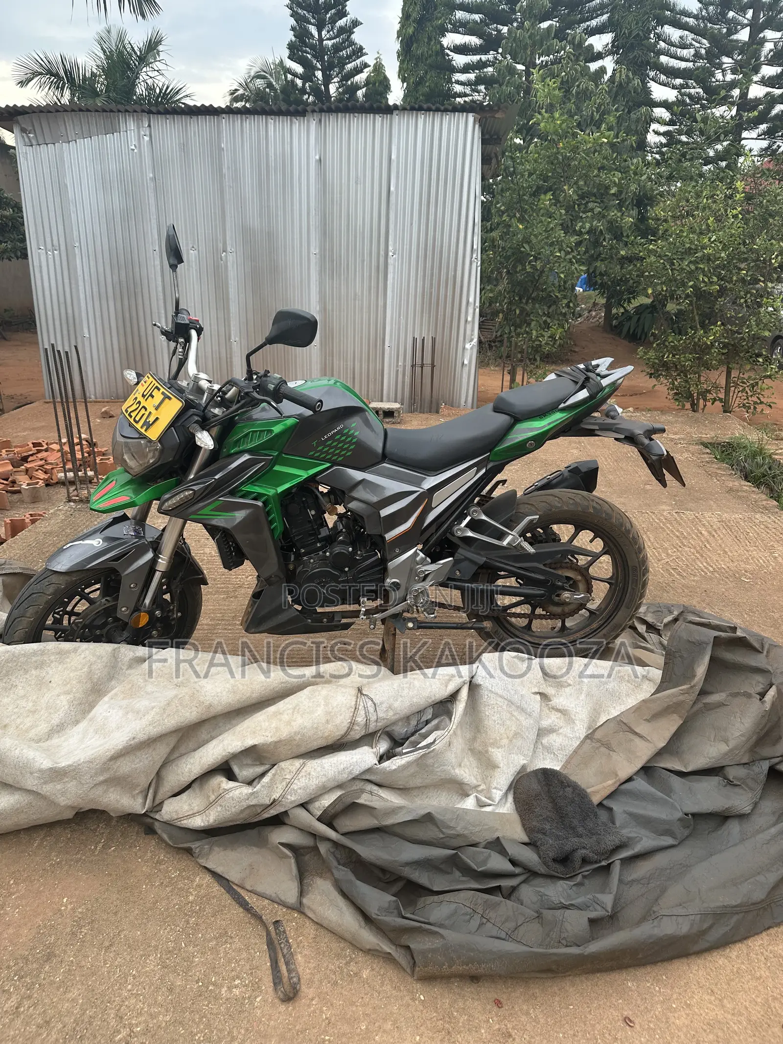 Senke Leopard 300 2022 Green
