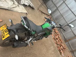 Senke Leopard 300 2022 Green
