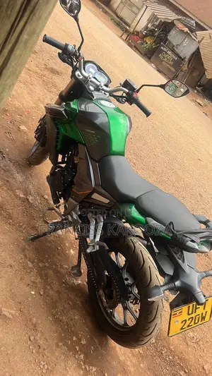 Senke Leopard 300 2022 Green