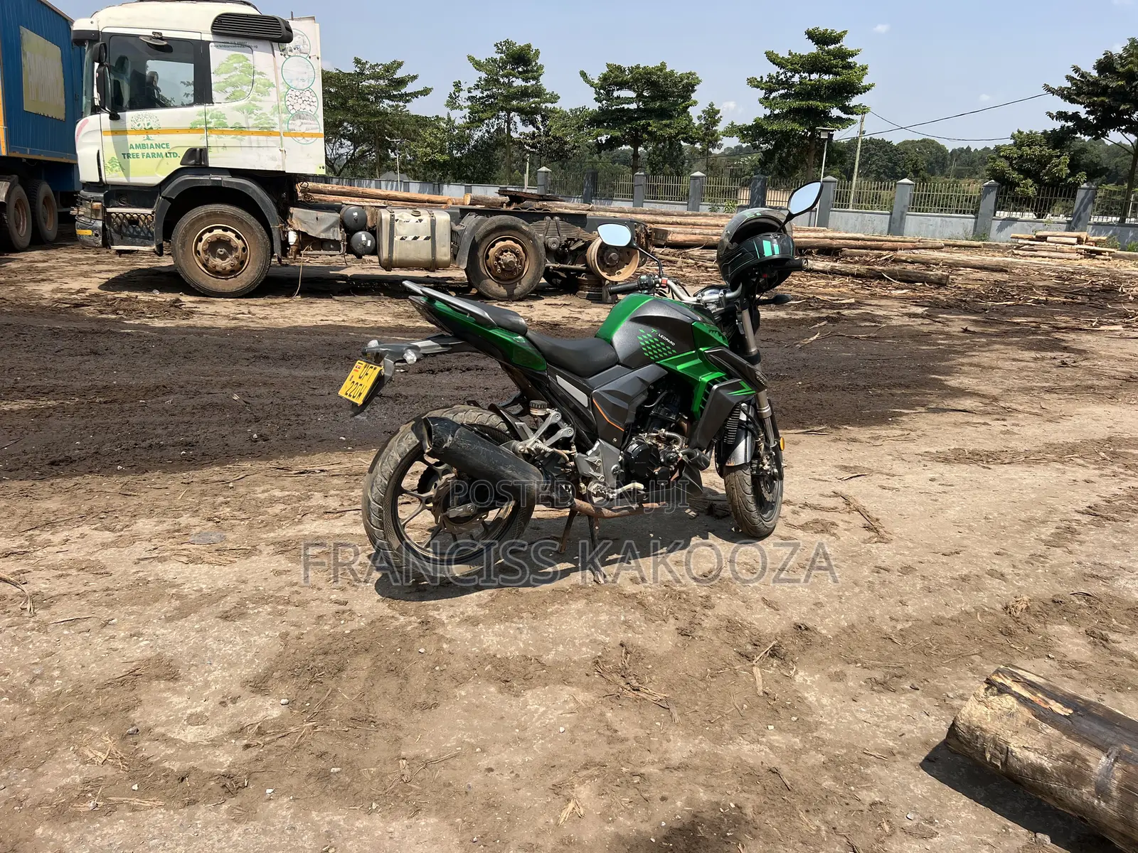 Senke Leopard 300 2022 Green