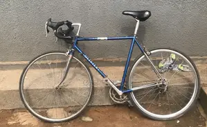Bicycle Changer