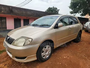 Toyota Allex 2005 Gray