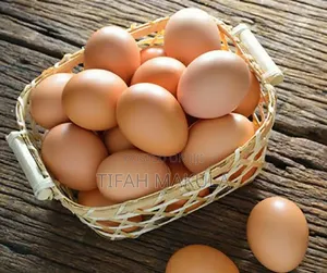 The Yolk Folks