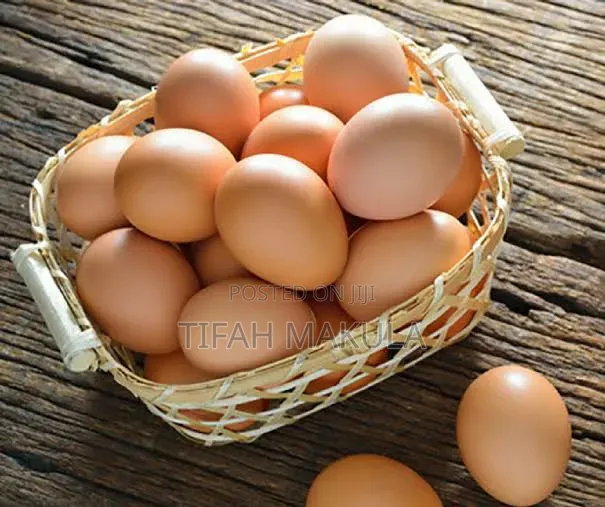 The Yolk Folks
