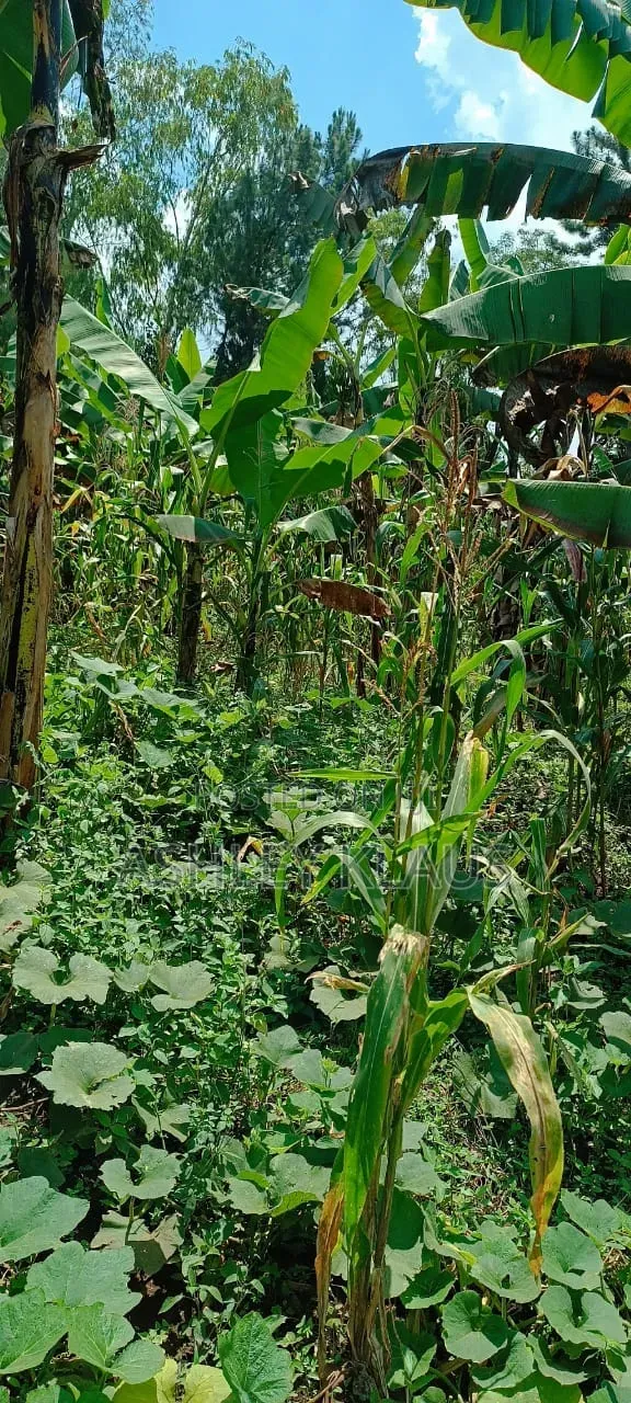 For Family and Farming