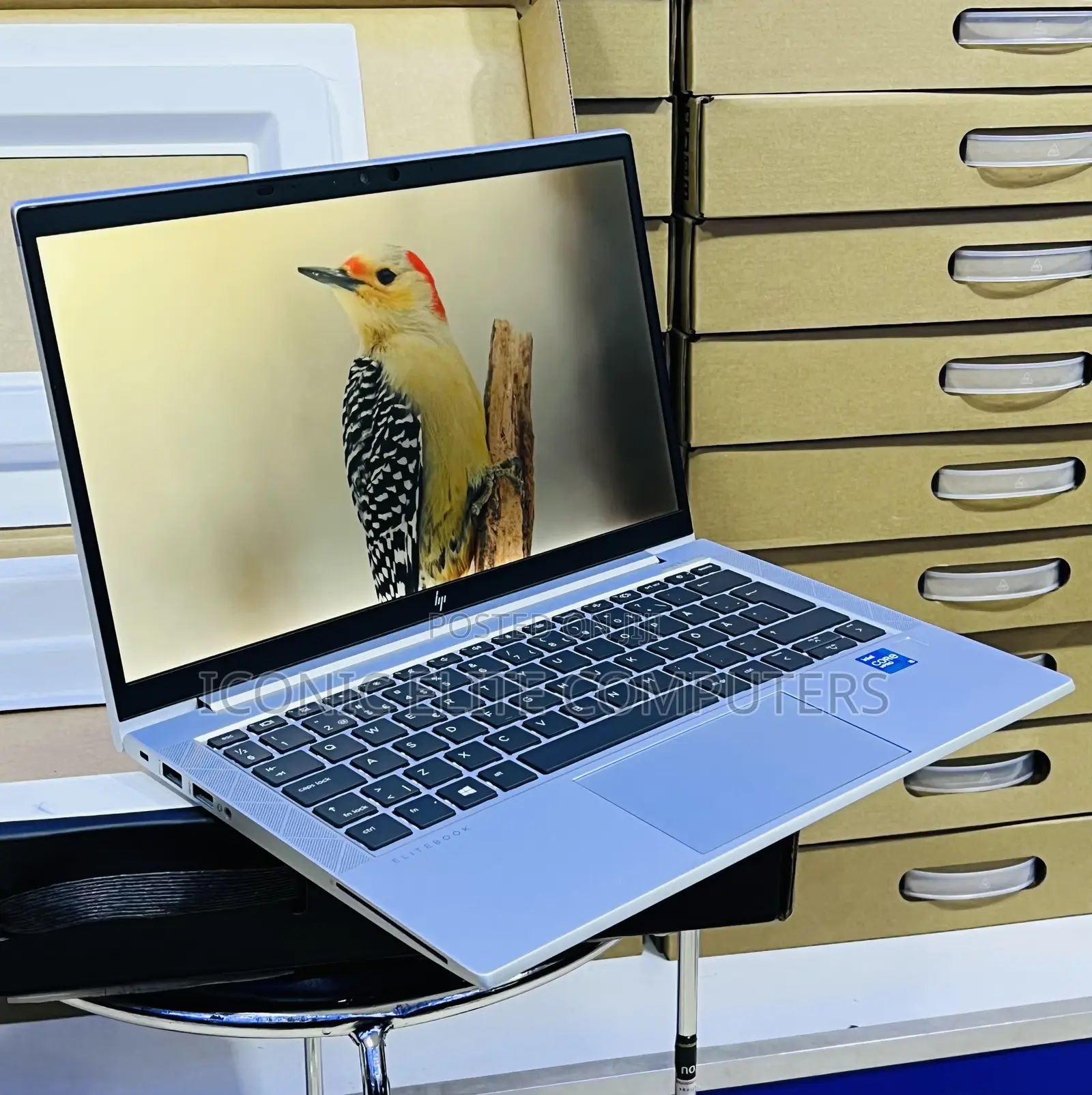 New Laptop HP Elitebook 830 G11 8GB Intel Core i5 SSD 256GB