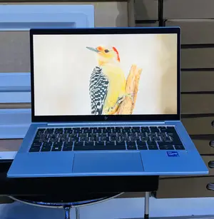 New Laptop HP Elitebook 830 G11 8GB Intel Core i5 SSD 256GB