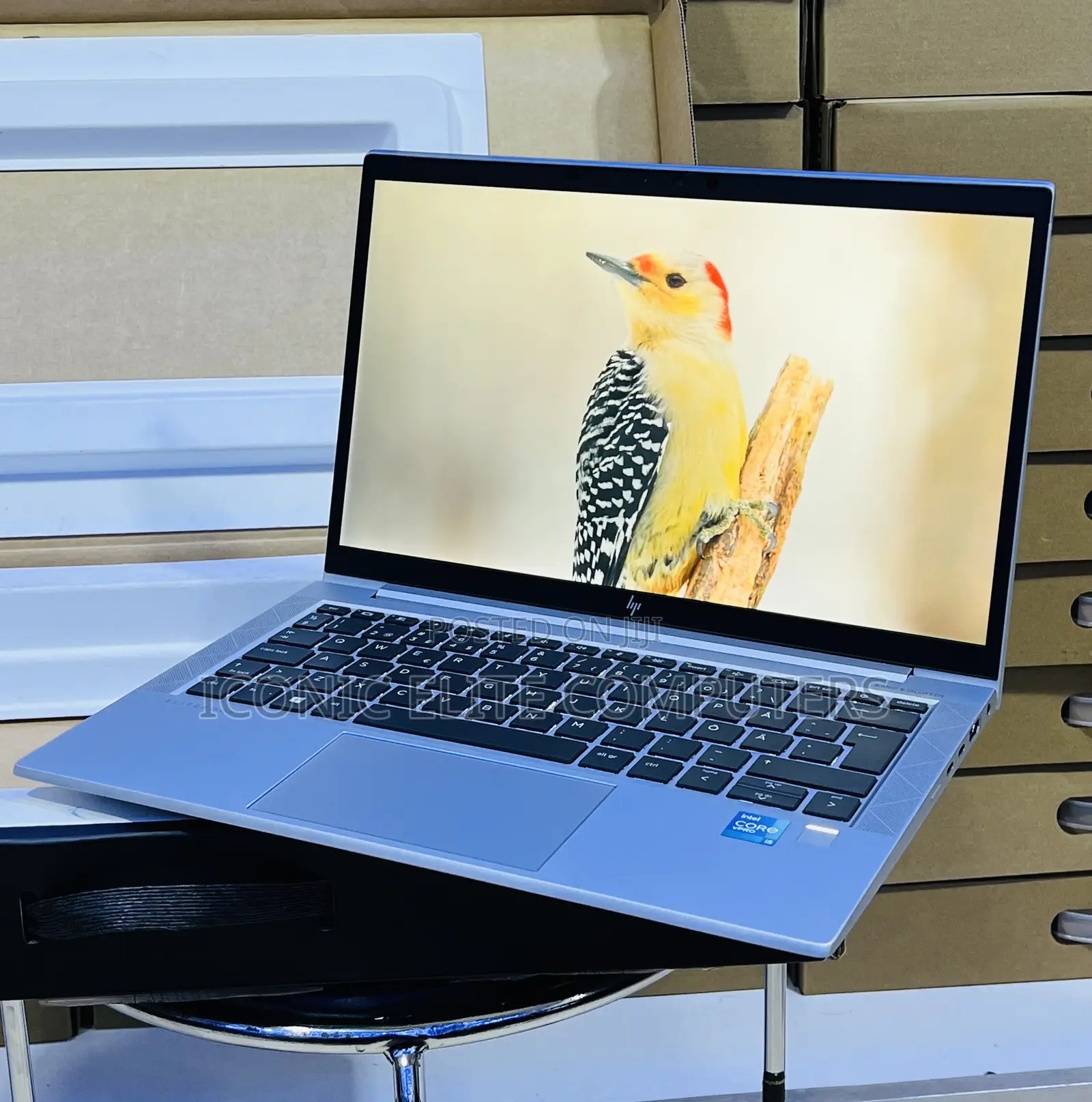 New Laptop HP Elitebook 830 G11 8GB Intel Core i5 SSD 256GB
