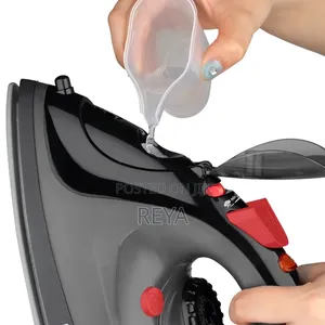 Steam Iron