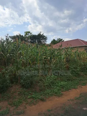 Family Space