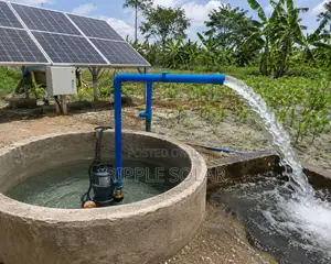 750w Ac Submersible Water Pump 19m Head 10000l/H 220v