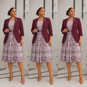 Ladies Elegant Two Piece Dress