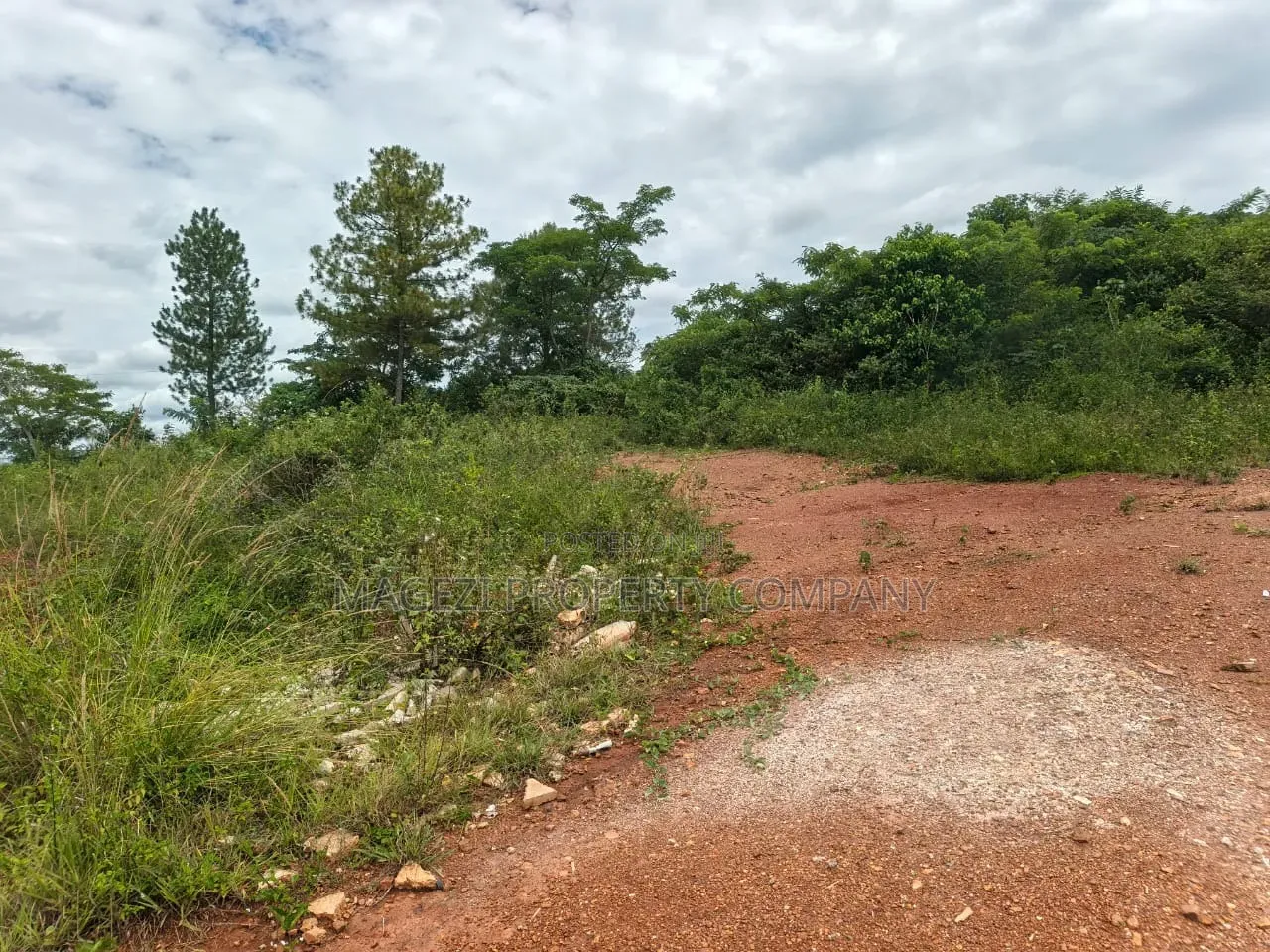 2acres of Land in Hoima Near the Stadium