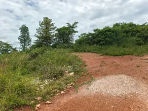 2acres of Land in Hoima Near the Stadium
