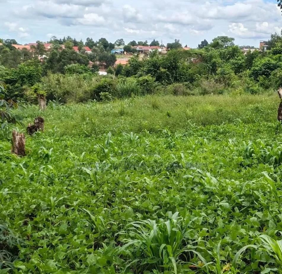 2acres of Land in Hoima City Near Hot Cake on Sale