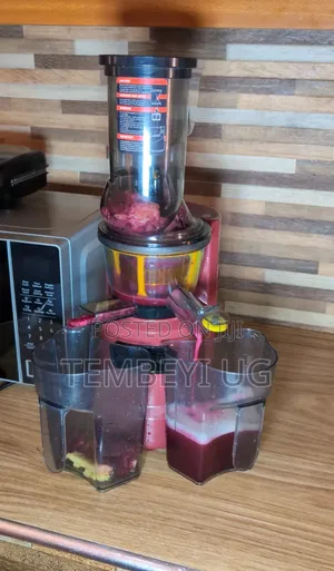 Powerful Slow Juicer