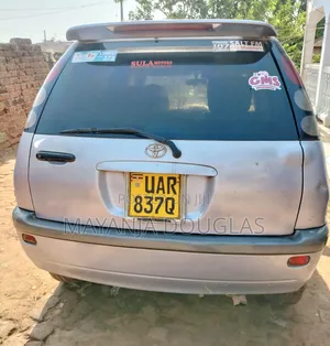 Toyota Raum 1.5 AWD 2002 Gray