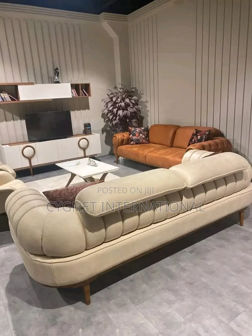 Luxurious Sofa Set