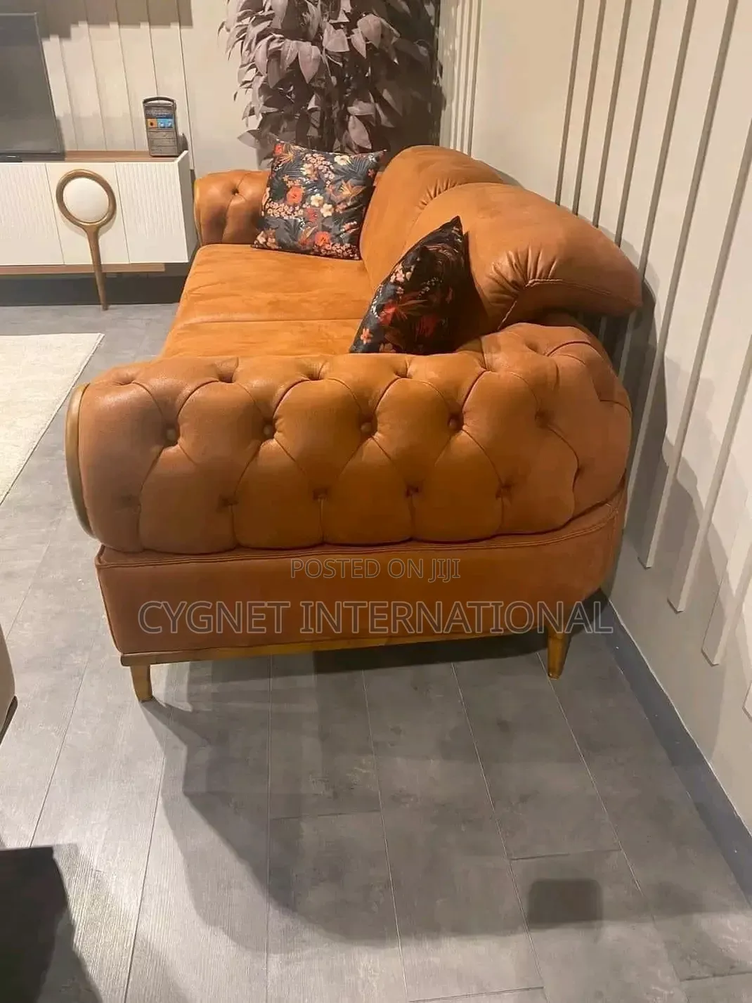 Luxurious Sofa Set