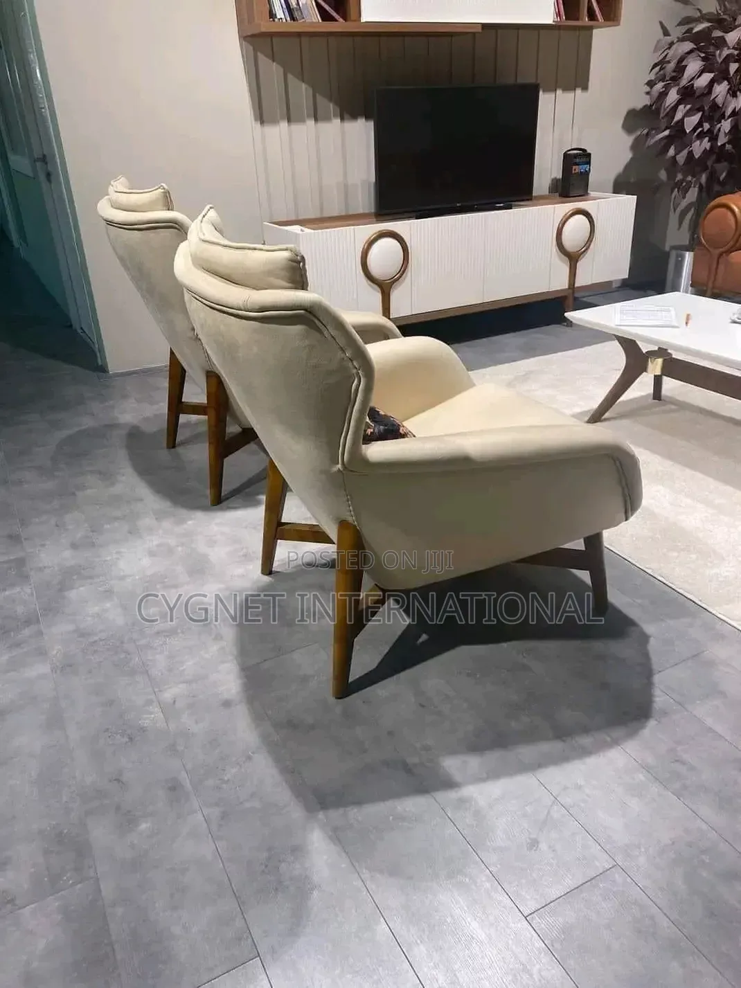Luxurious Sofa Set