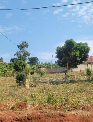 Prime Land for Sale in Kisoga Town 50ft From the Tarmac Road 100by100