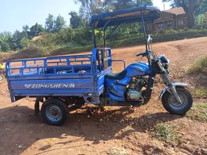 Zongshen ZS100-27 2024 Blue