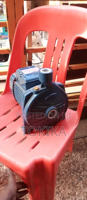 Pedrollo Surface Water Pump 1hp