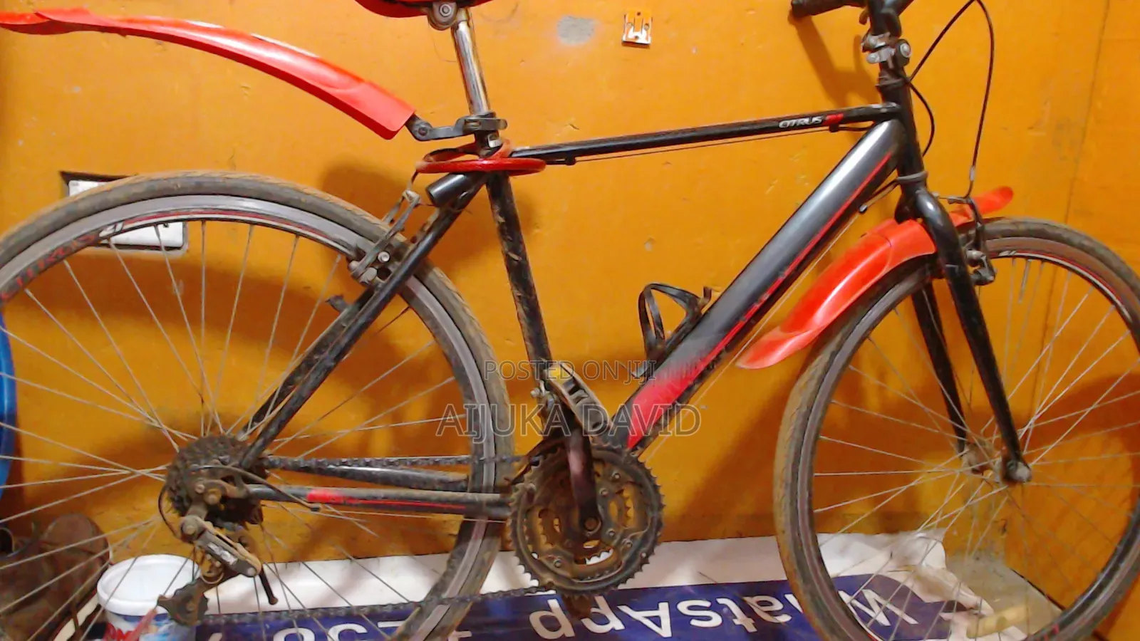 Mountain Bike