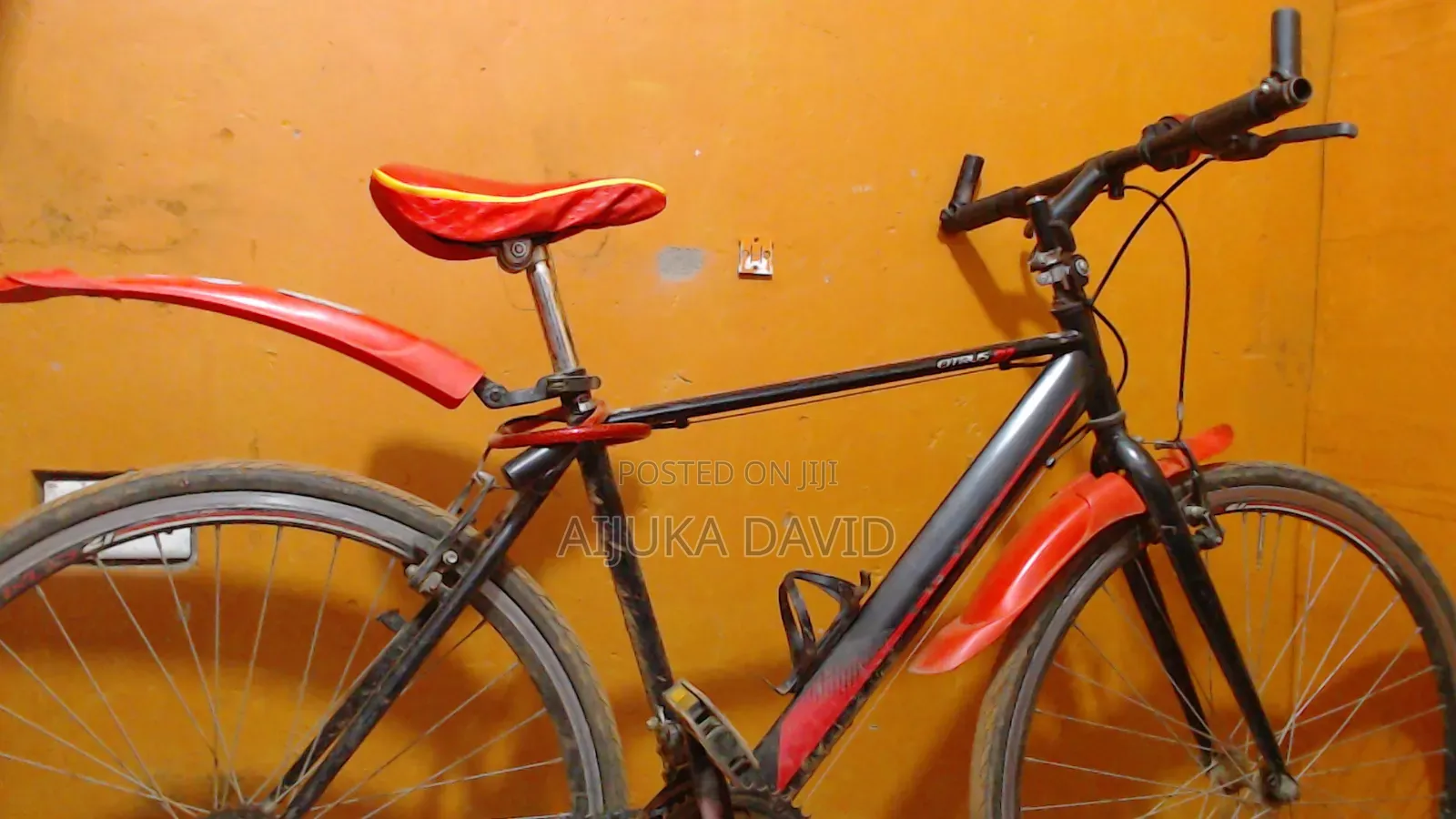 Mountain Bike