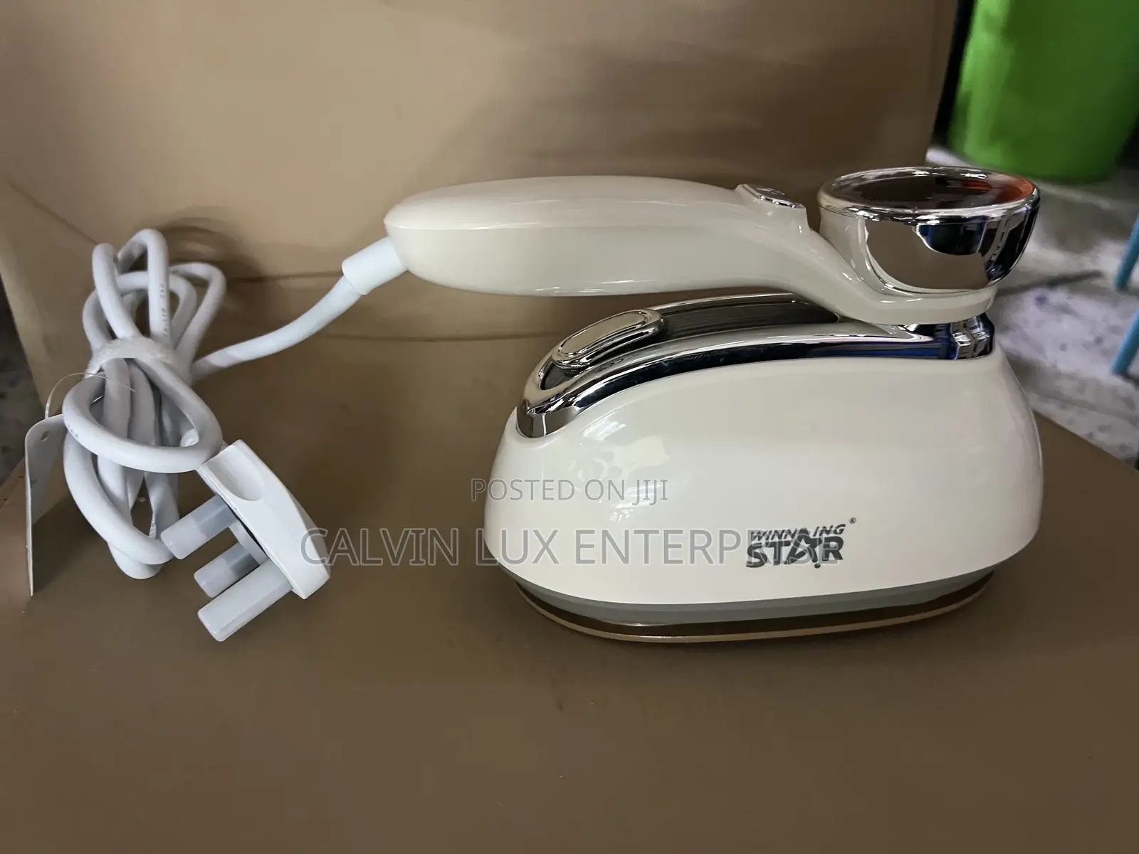 Portable Steam Iron