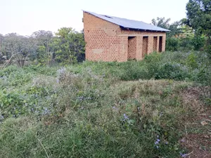 50*100ft Plot on Sale in Bulera Town Mityana