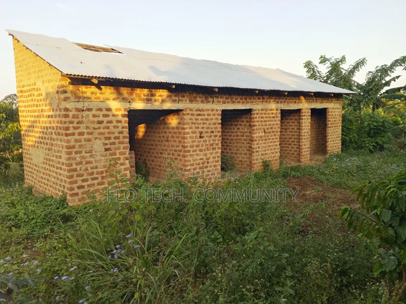 50*100ft Plot on Sale in Bulera Town Mityana