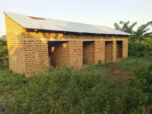50*100ft Plot on Sale in Bulera Town Mityana