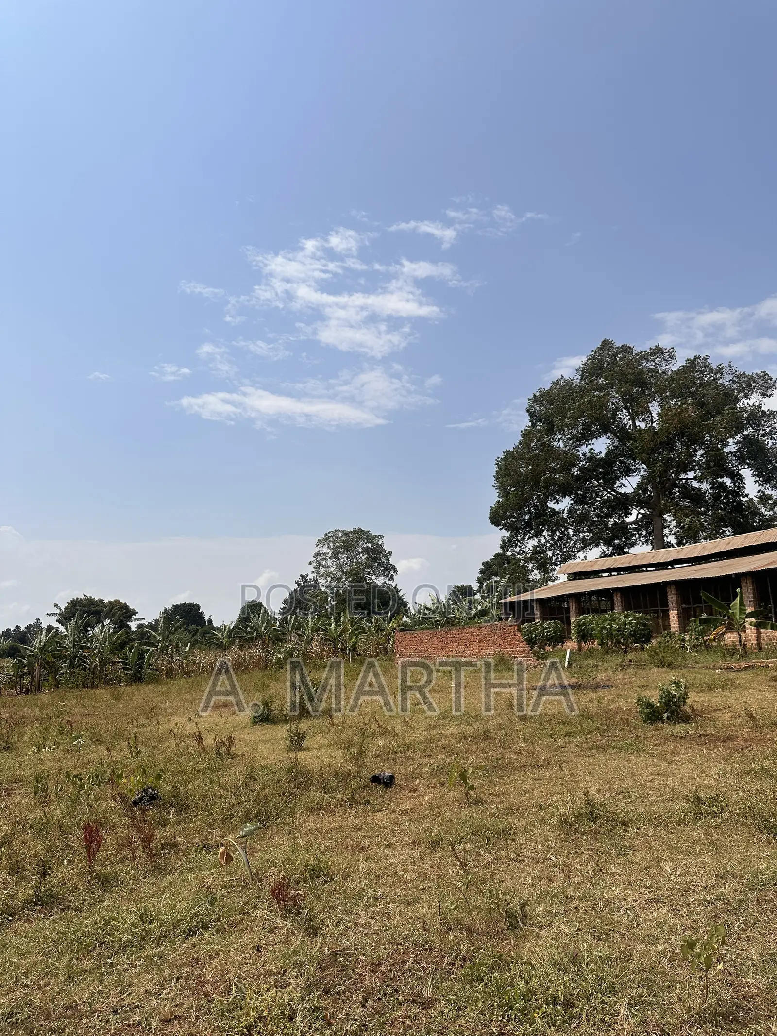 Land for Sale in Namugongo Sonde Nabusugwe Hill