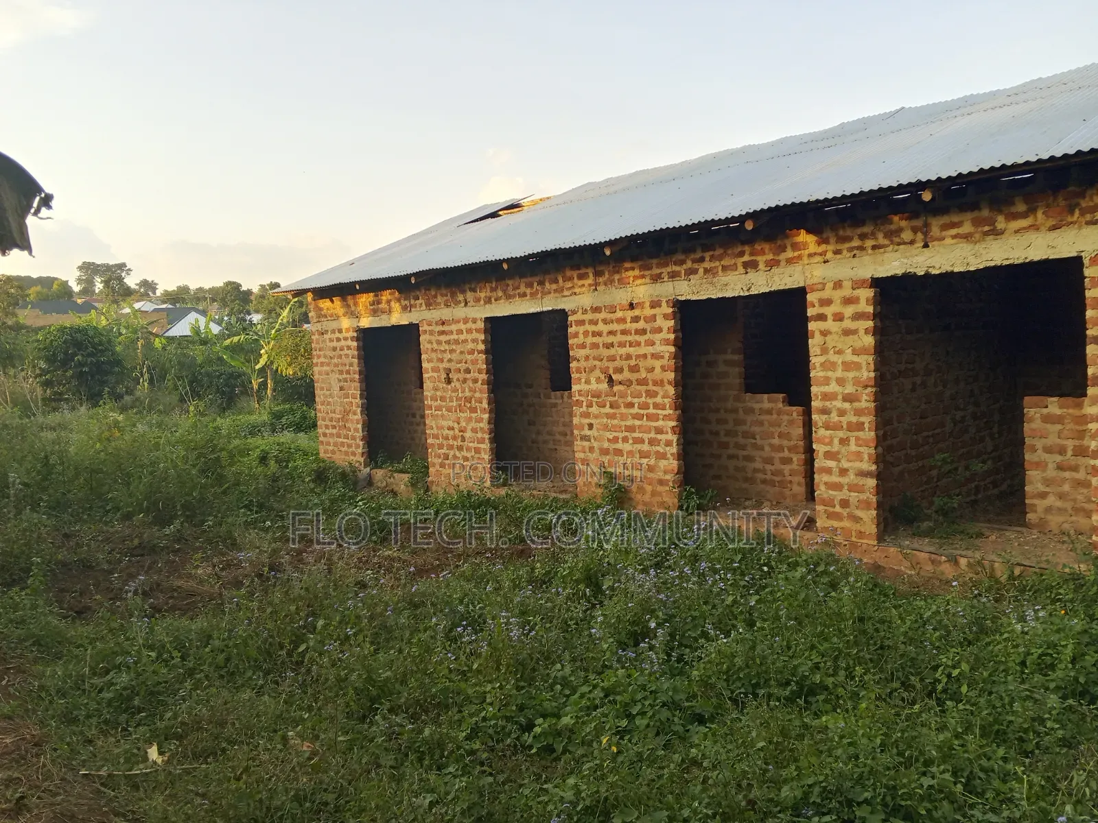 50*100ft Plot on Sale in Bulera Town Mityana