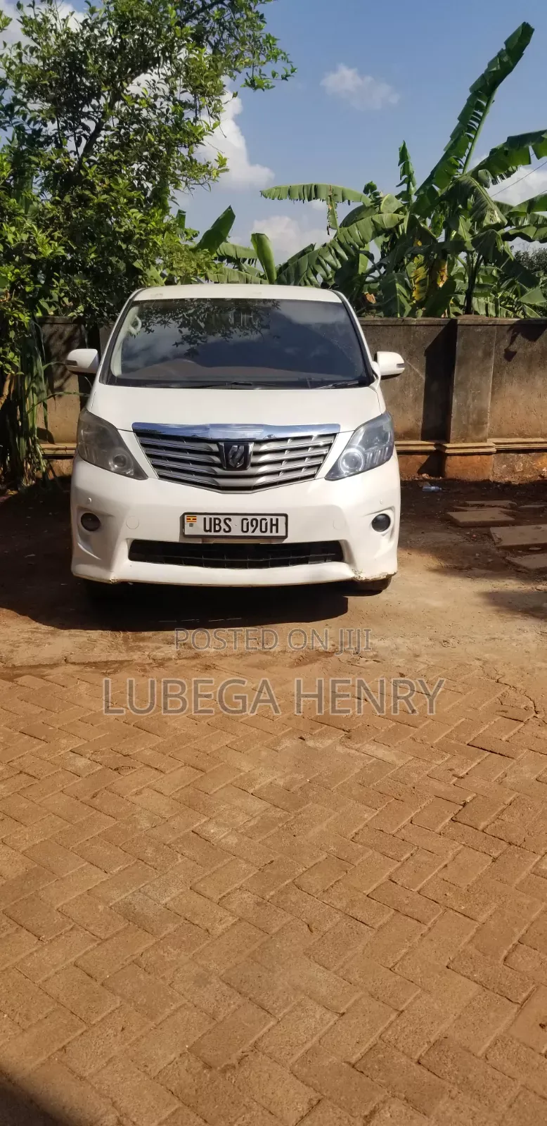 Alphard Cars for Hire