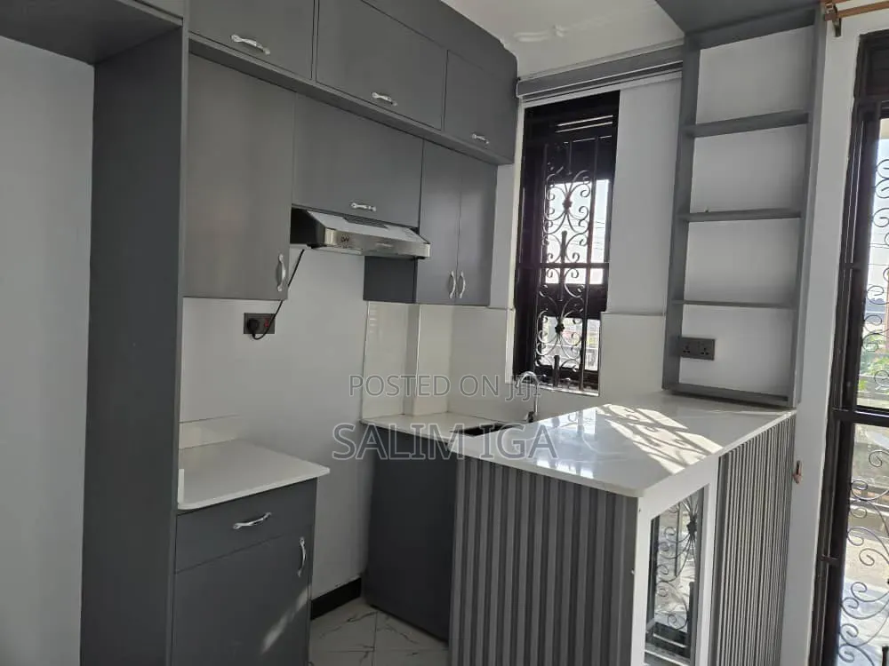 1bdrm Apartment in Kololo Property, Central Division for rent